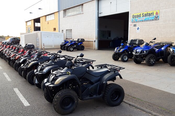 Quad Bike Safari - Safety, group size, and the real pace of the day