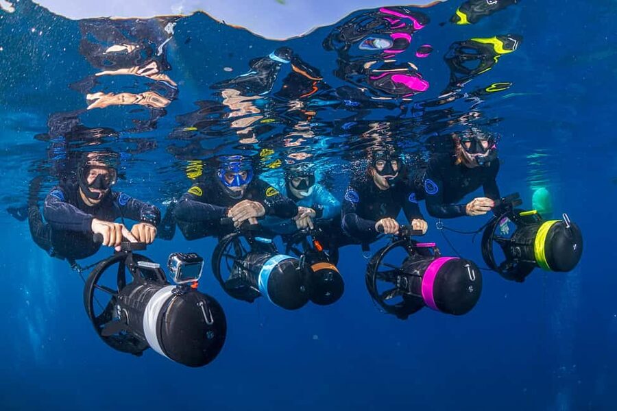Radazul: Family-Friendly Snorkeling Tour - Starting with a species briefing