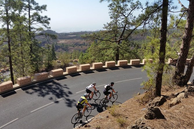 Road Cycling Tenerife - Teide Route - A mountain ride that earns its difficulty