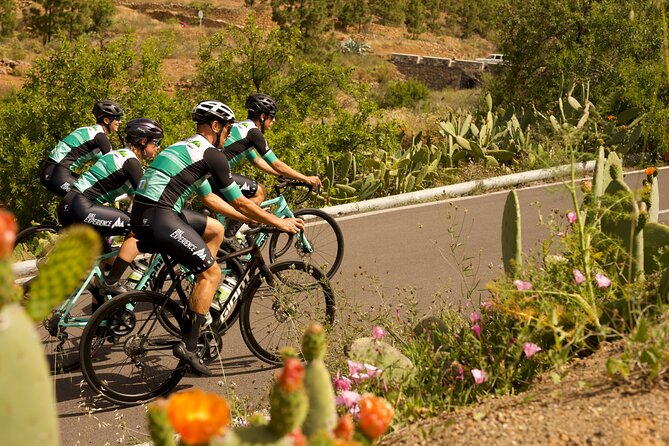 Road Cycling Tenerife - Vilaflor Route - The 13-kilometer climb to Vilaflor
