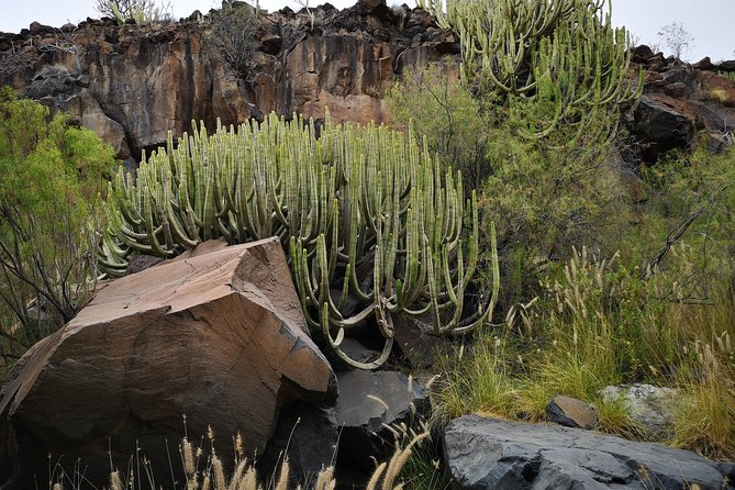 Rock climbing in natural space. - Is $156.03 a fair price?