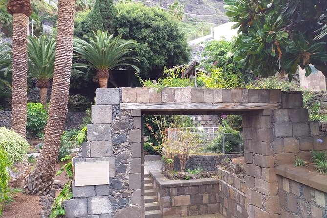 Round The Island Trip Without Teide VIP TOUR - Icod de los Vinos and the Millenary Dragon Tree