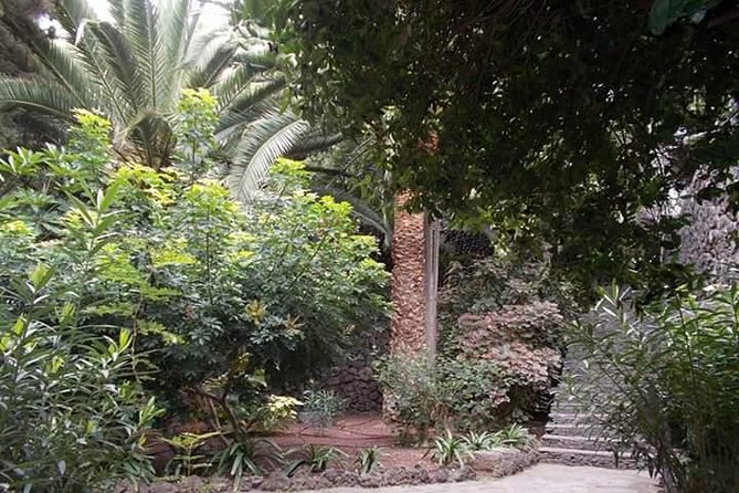 Round The Island Trip Without Teide VIP TOUR - How the small-group format affects the day