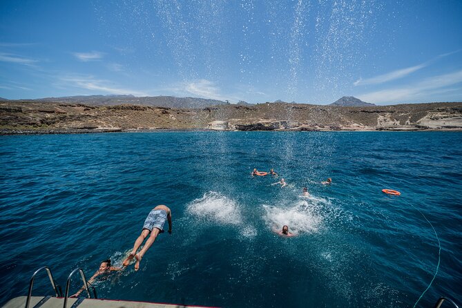 Royal Delfin 3H Dolphin & Whale Watching! Swimming & Lunch! - Lunch, beer, sangria, and soft drinks on board