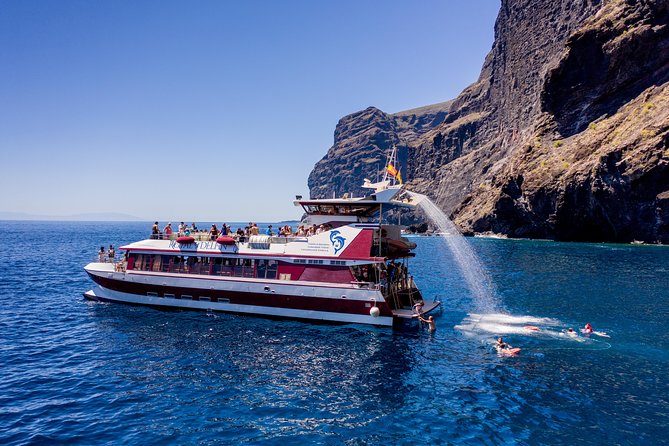 Royal Delfin - 4'5H Dolphin & Whale Watching - Los Gigantes Masca - Lunch & Swim - Is $72.29 a fair price?