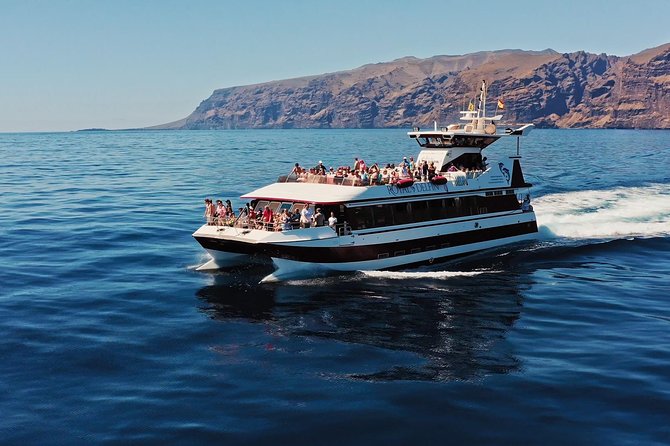 Royal Delfin - 4'5H Dolphin & Whale Watching - Los Gigantes Masca - Lunch & Swim - Underwater windows on the Royal Delfin catamaran