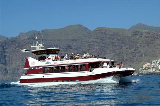 Royal Dolphin Whale watching excursion - Dolphins, whales, and the value of the guide
