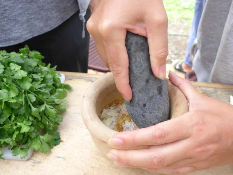 Rural Life Experience: Mojo Workshop and botanical Walk - Key points at a glance