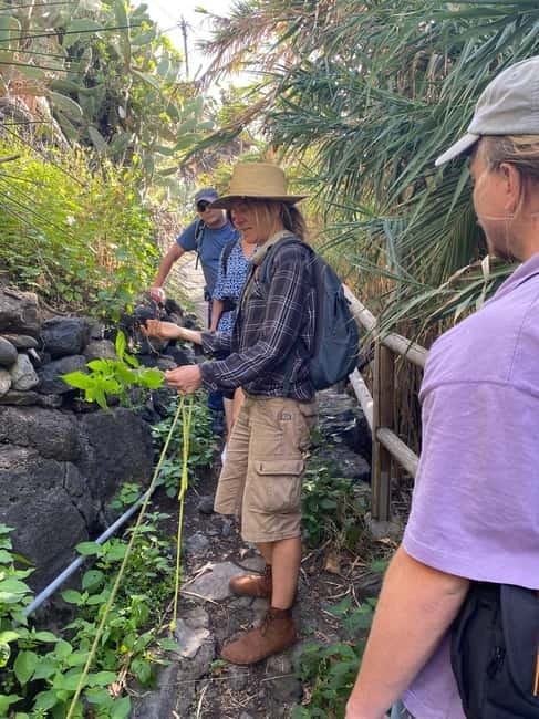 Rural Life Experience: Mojo Workshop and botanical Walk - How to get the most from the 3.5 hours