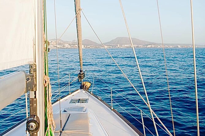 SAILING YACHT EXCURSION TOUR, Food & Drinks included! - Searching for Whales and Dolphins off Southern Tenerife
