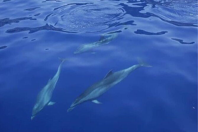 Sailing Yacht on a Private Charter - Snorkeling and swimming when conditions allow