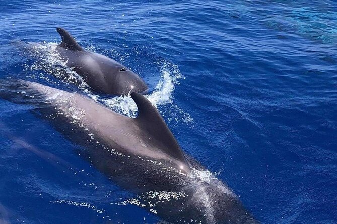 Sailing Yacht on a Private Charter - What the Tenerife coast looks like from the water