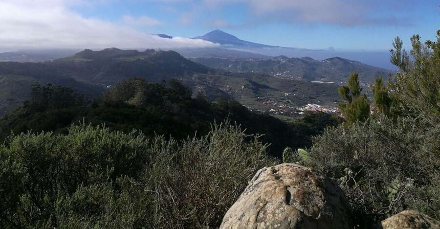 Santa Cruz de Tenerife: 2-Hour Hiking Tour in Anaga Forest - Why Anaga feels like another Tenerife