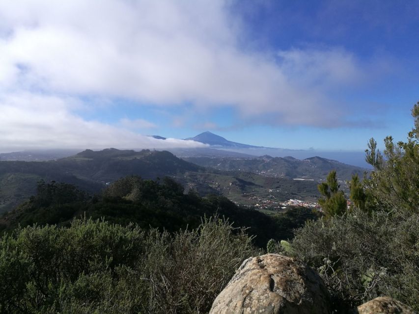 Santa Cruz de Tenerife: 2-Hour Hiking Tour in Anaga Forest - Meeting Angel near La Laguna or Santa Cruz