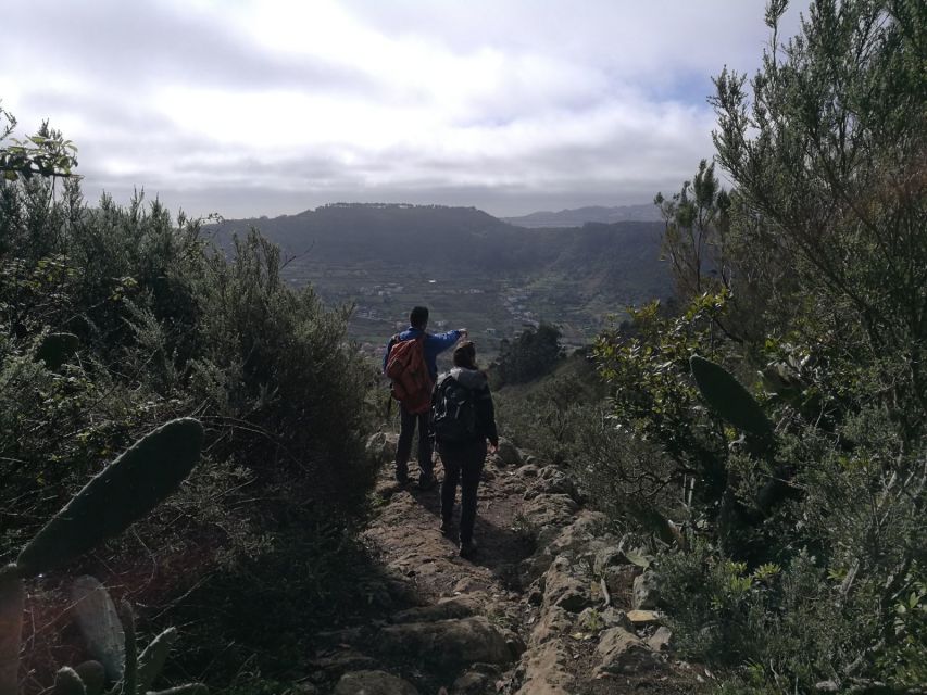 Santa Cruz de Tenerife: 2-Hour Hiking Tour in Anaga Forest - Clothing, weather, and the small things that matter