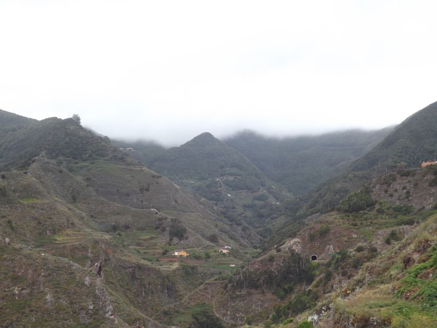 Santa Cruz de Tenerife: 2-Hour Hiking Tour in Anaga Forest - A gentle 2.5 hours with room to look around