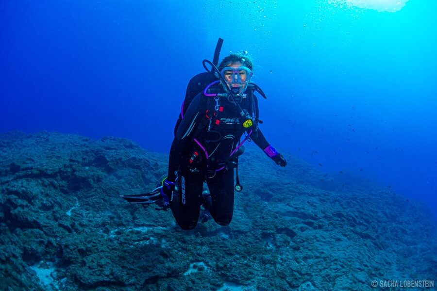 Santa Cruz de Tenerife: Advanced introductory course - More than a quick introduction at 12 meters