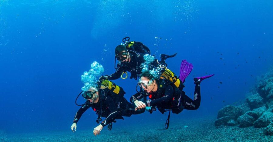 Santa Cruz de Tenerife: Advanced introductory course - The sea life is the real payoff