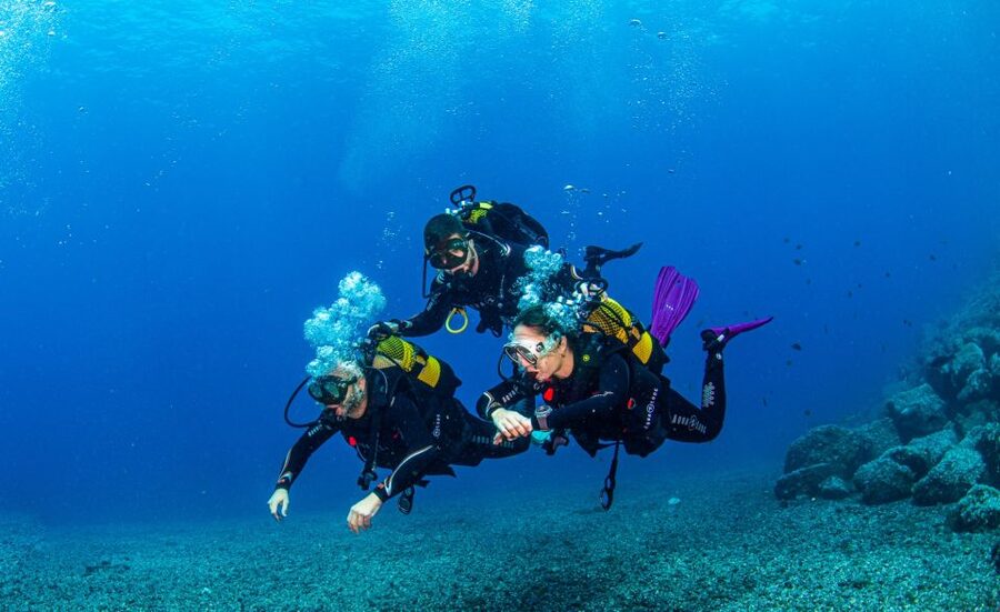 Santa Cruz de Tenerife: Advanced introductory course - Why the group size matters