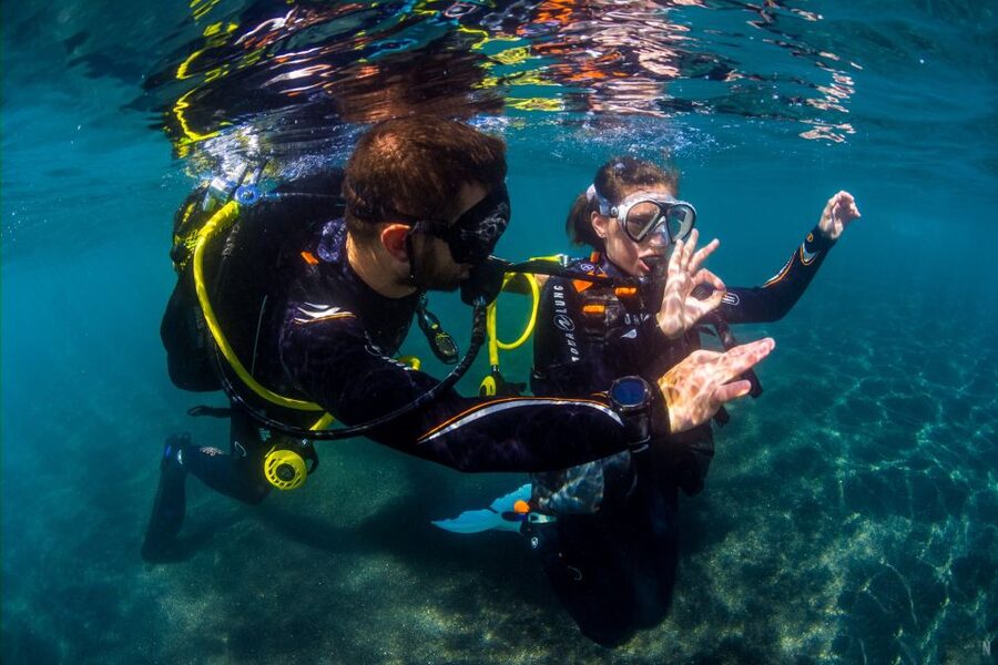 Santa Cruz de Tenerife: Beginner's Diving & Introduction - Key points at a glance
