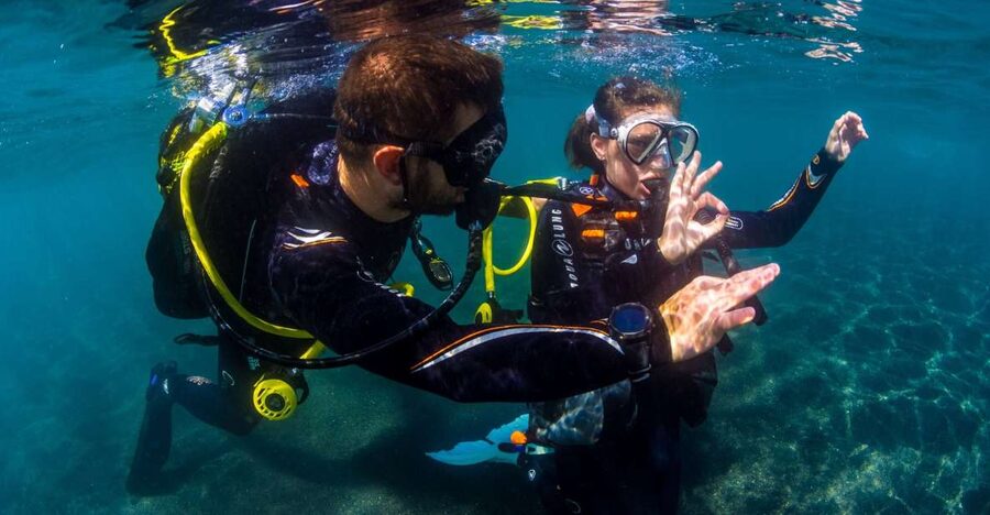 Santa Cruz de Tenerife: Beginner's Diving & Introduction - What this beginner scuba session is really like