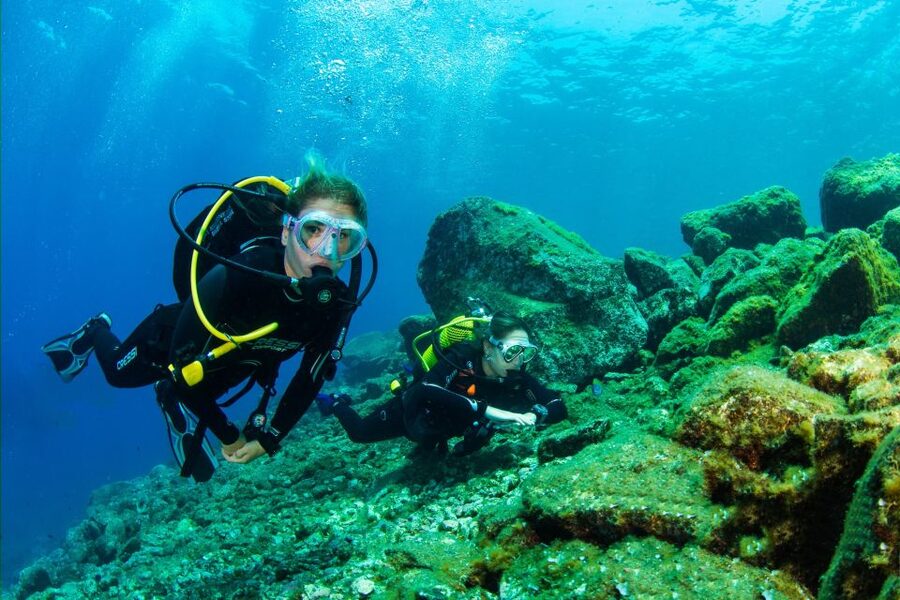Santa Cruz de Tenerife: Beginner's Diving & Introduction - The sea session: 6 meters and plenty of time to adjust