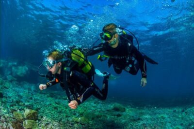 Beginner’s Diving & Introduction