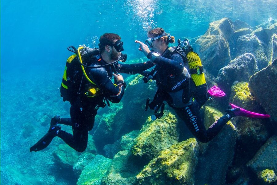 Santa Cruz de Tenerife: Beginner's Diving & Introduction - Is $89 a fair price?