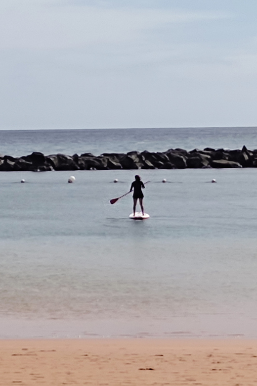 Santa Cruz de Tenerife: Las Teresitas Stand Up Paddle Course - Should you book Las Teresitas paddleboarding?