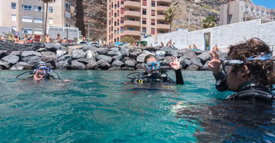 Santa Cruz de Tenerife: PADI Introductory Dive - Key points at a glance