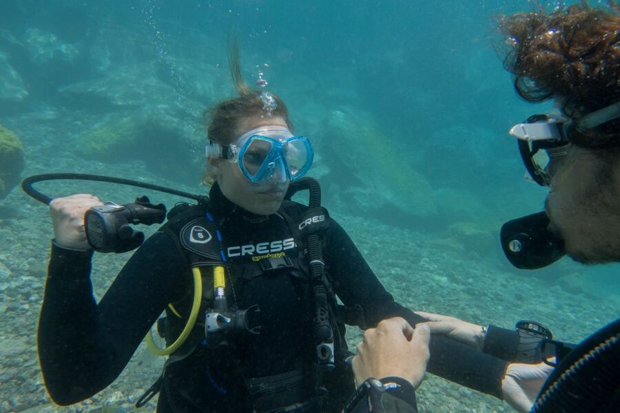 Santa Cruz de Tenerife: PADI Introductory Dive - Timing, practical details, and small drawbacks