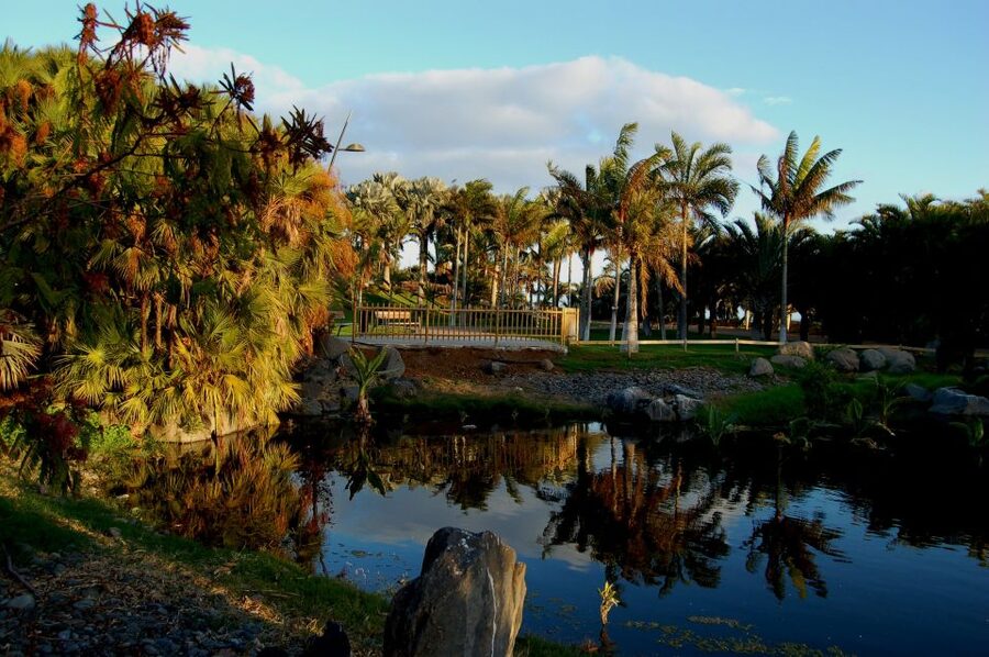 Santa Cruz de Tenerife Palmetum Entry Ticket - Key points to know before you go