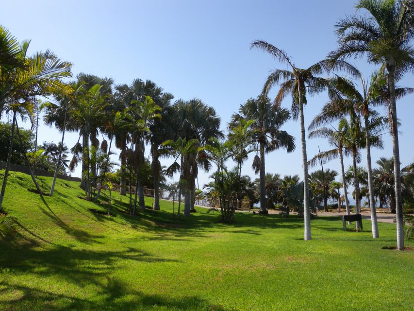 Santa Cruz de Tenerife Palmetum Entry Ticket - Following the paths, lakes, and waterfalls