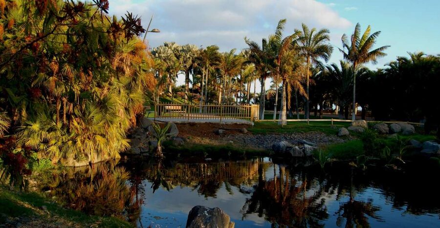 Santa Cruz de Tenerife Palmetum Entry Ticket - A collection built around island palms