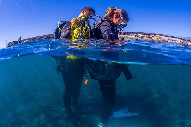 Scuba Diving Baptism Experience in Santa Cruz Tenerife - What this first underwater session is really like