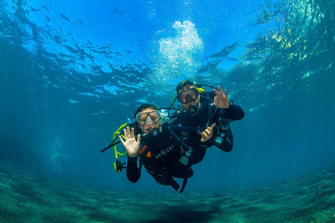 Scuba Diving Baptism Experience in Santa Cruz Tenerife - The first hour: equipment and safety