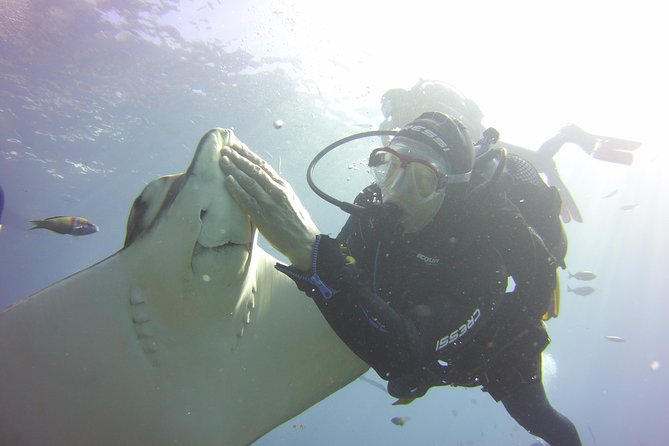 Scuba Diving Beginner's Session in Costa Adeje - Learning the basics without being rushed