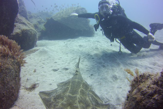 Scuba Diving Beginner's Session in Costa Adeje - How the small-group setup affects your day