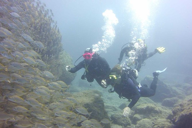 Scuba Diving Beginner's Session in Costa Adeje - Who will get the most from this experience