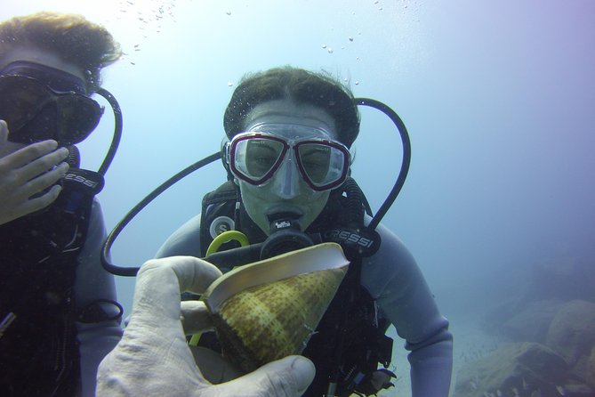 Scuba Diving Beginner's Session in Costa Adeje - The small details that improve the experience