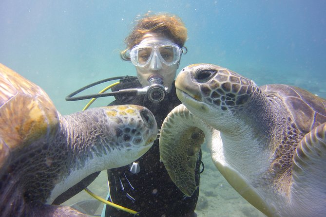 Scuba Diving Beginner's Session in Costa Adeje - The 45-minute underwater session