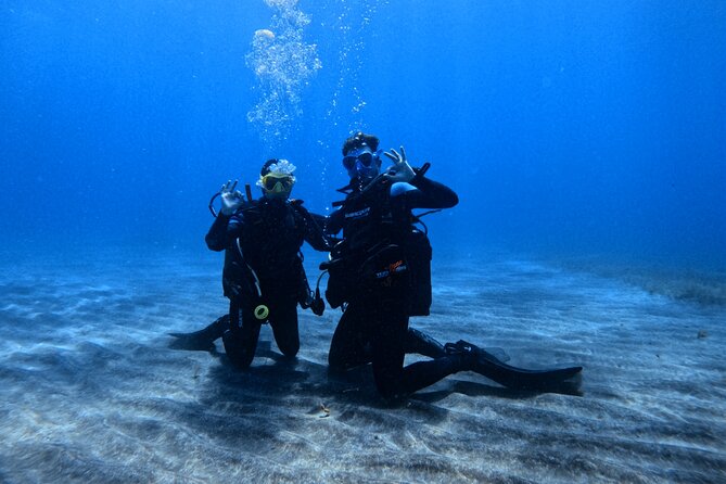 Scuba Experience in Tenerife with Guide - Key points to know before booking
