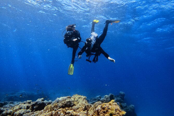 Scuba Experience in Tenerife with Guide - The instructors and the value of close supervision