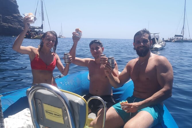 SEA SAFARI Dolphins, Whales, 3h speedboat DISCOVERY-TOUR - Key Points Before You Book