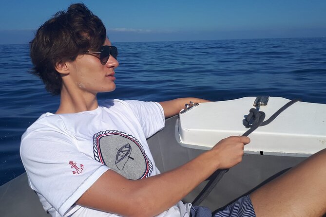 SEA SAFARI Dolphins, Whales, 3h speedboat DISCOVERY-TOUR - The Speedboat Makes the Route More Fun