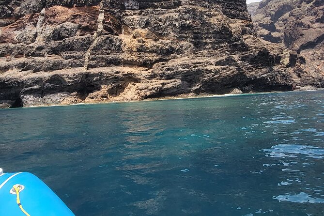 SEA SAFARI Dolphins, Whales, 3h speedboat DISCOVERY-TOUR - Swimming and Snorkeling at a Coastal Stop
