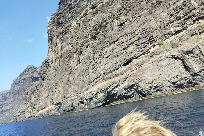 SEA SAFARI Dolphins, Whales, 3h speedboat DISCOVERY-TOUR - Returning Along Tenerife’s South Coast