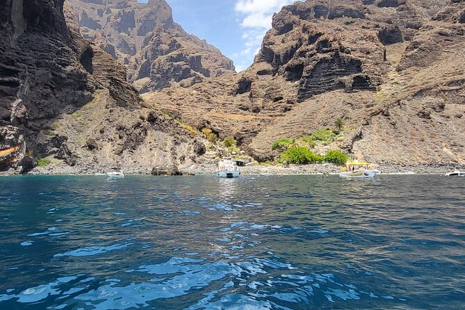SEA SAFARI Dolphins, Whales, 3h speedboat DISCOVERY-TOUR - Searching for Dolphins and Pilot Whales