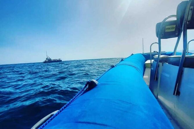 SEA SAFARI, Dolphins, Whales, snorkeling, snack and drink, 2 h speedboat - The Speedboat Ride Along Tenerife’s Coast