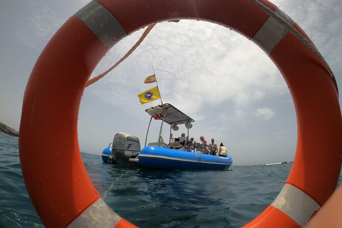 SEA SAFARI, Dolphins, Whales, snorkeling, snack and drink, 2 h speedboat - What the Drink and Snack Add